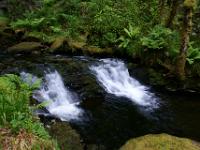 Kaskade im Torc River - Killarney NP, Co. Kerry